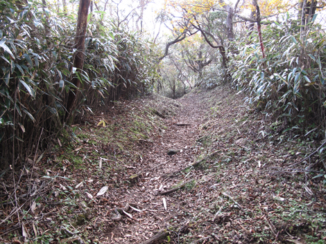 20181025hike (203)